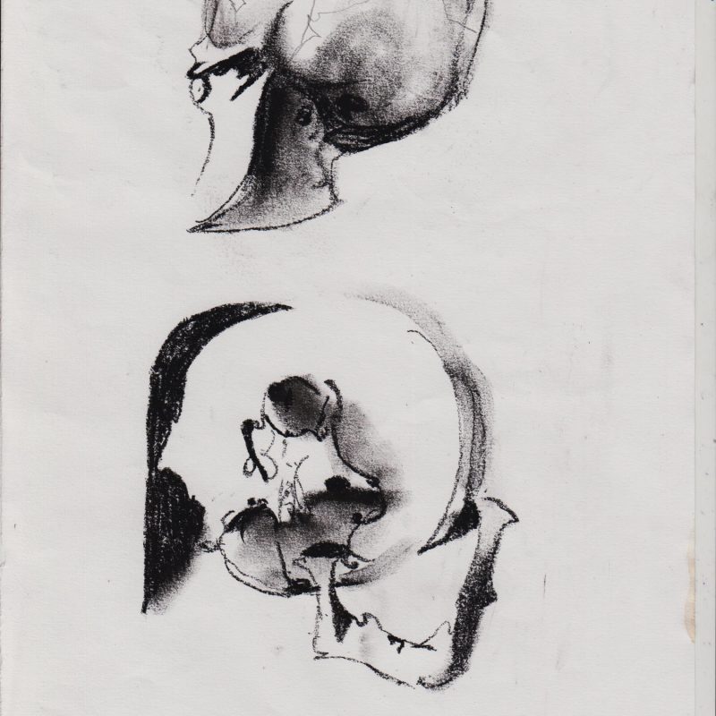 Skulls 005