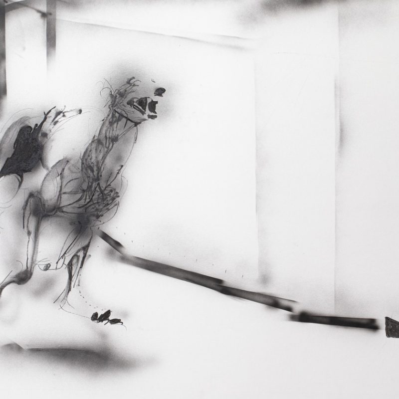 Canódromo serie - 005