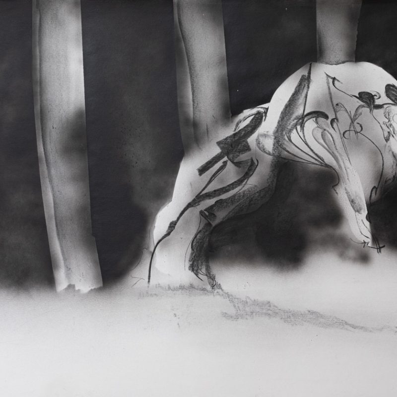 Canódromo serie - 008