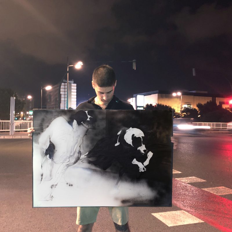 Canódromo serie - 004