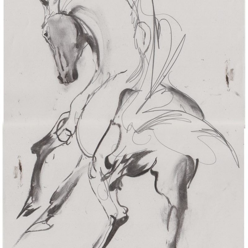 Horses 001