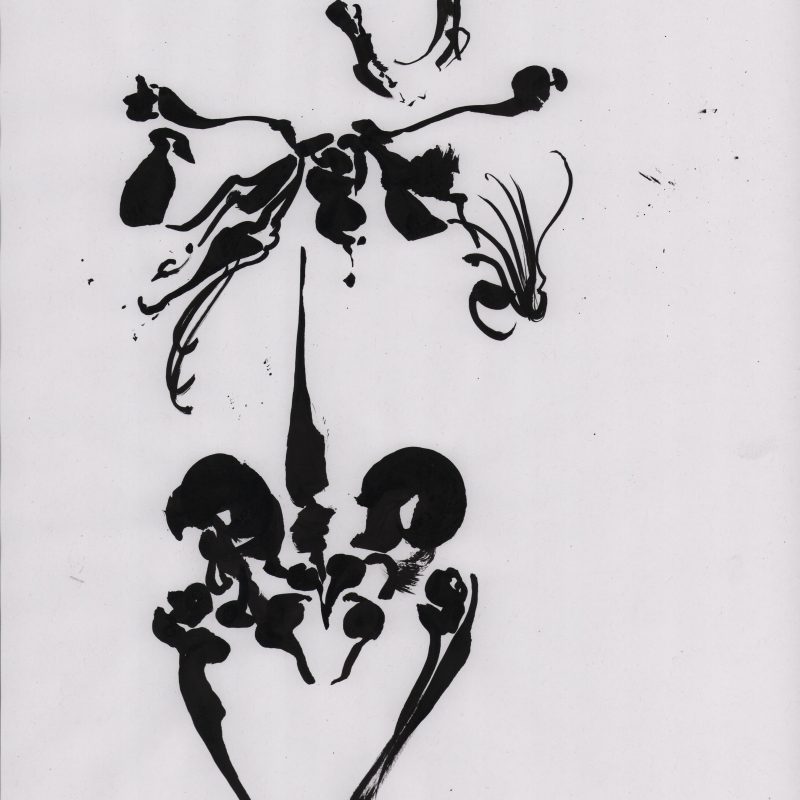 skull 004